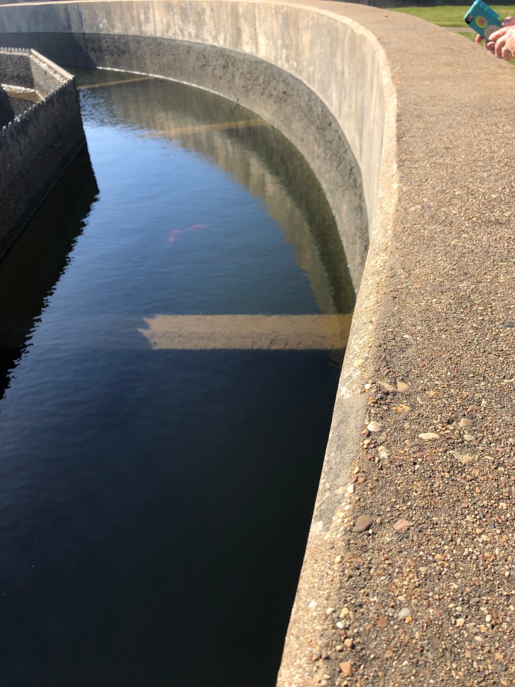 065902CD-9907-4A86-A262-33307C840AAC