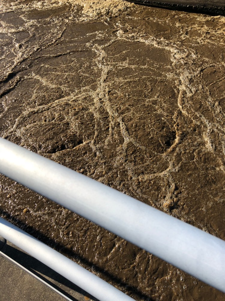 36E5C685-E46E-4981-BE75-F176444D6213