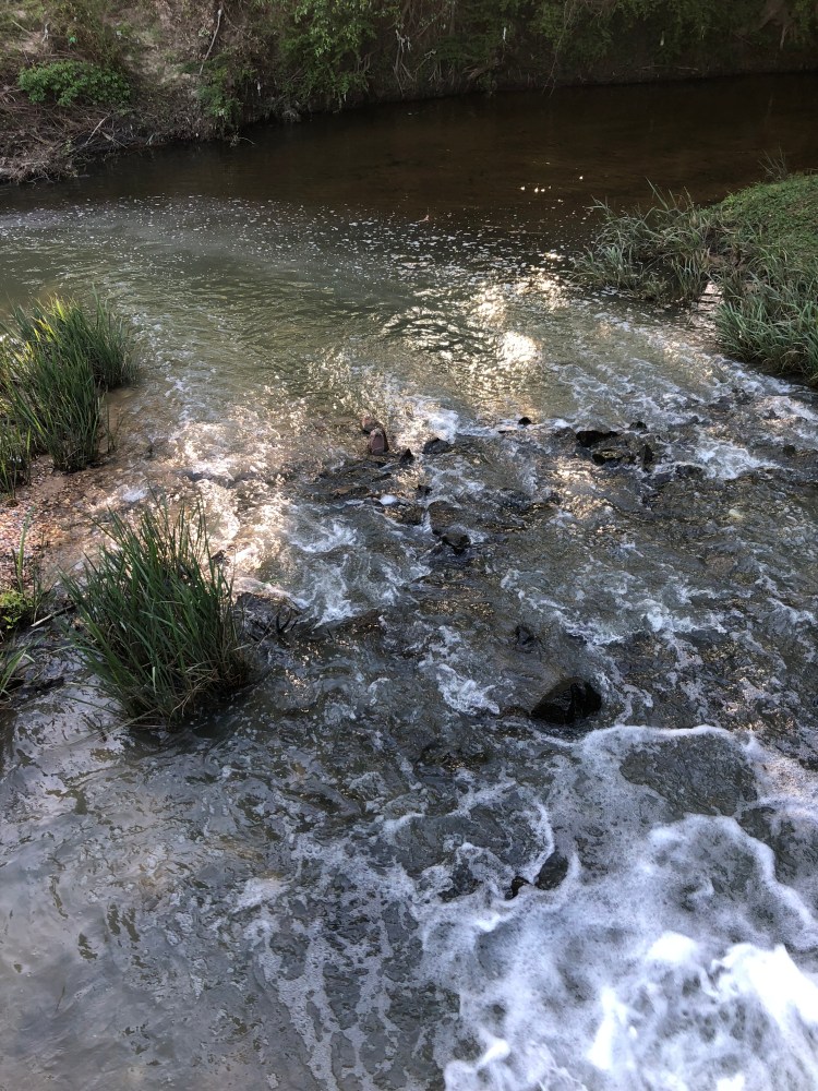 AAD854F2-88D9-4CC0-83CE-1D69874A49F5