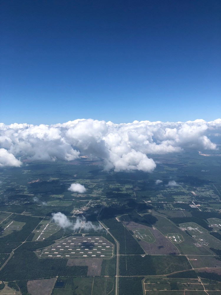 9AC54F53-EF4F-4478-8E8C-67EE1791E82A